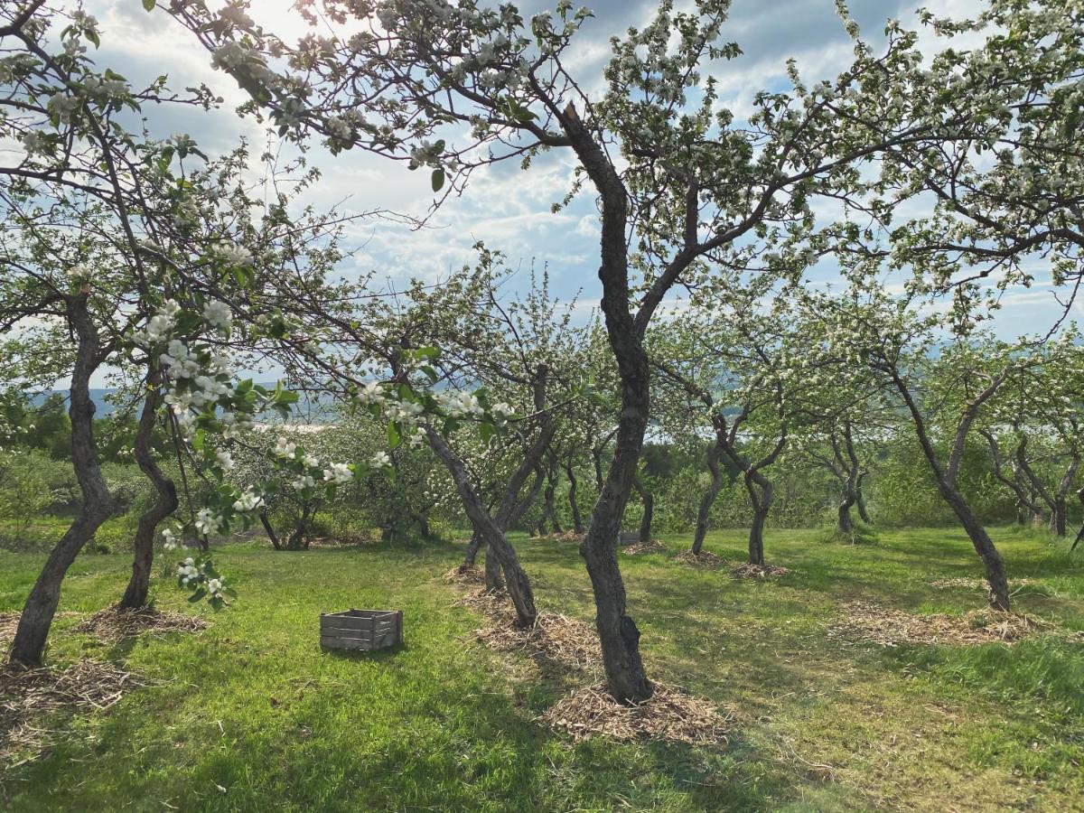 Domaine Steinbach Cidrerie B&B Distillerie St-Pierre-de-l'Île-d'Orléans Zewnętrze zdjęcie